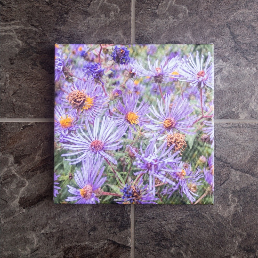 Purple Flowers Nature Photo on Square Canvas 🖼